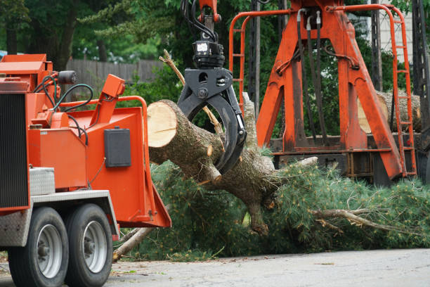 Best Lawn Mowing  in Stone Ridge, VA